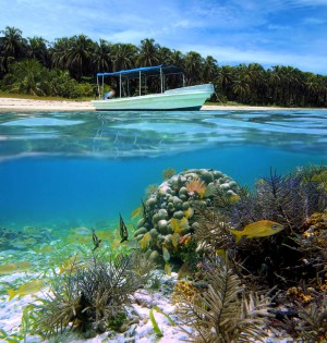 expat community bocas del toro panama