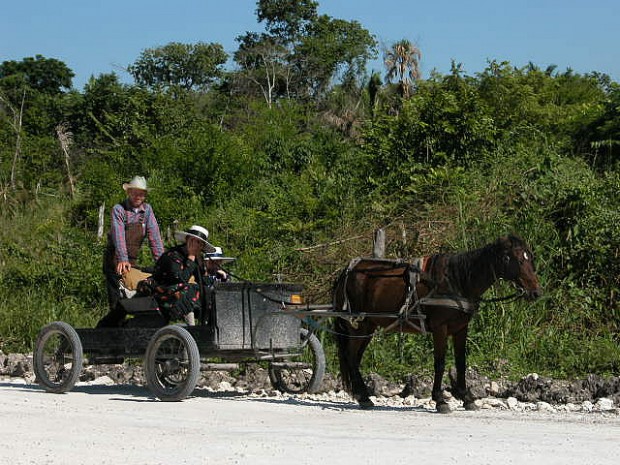 Belize Mennonites