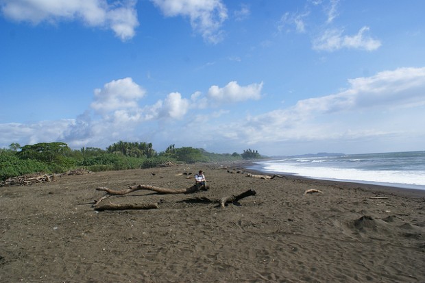 Photo: Organization for Tropical Studies