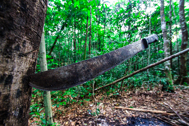 How To Swing A Machete Like A Local
