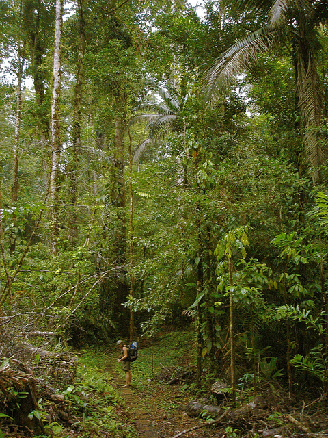 ojochal costa rica