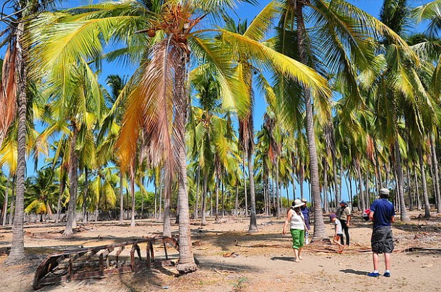 buy an island in ecuador