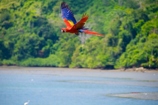 Golfito, Costa Rica