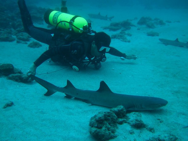 Scuba Diving Costa Rica