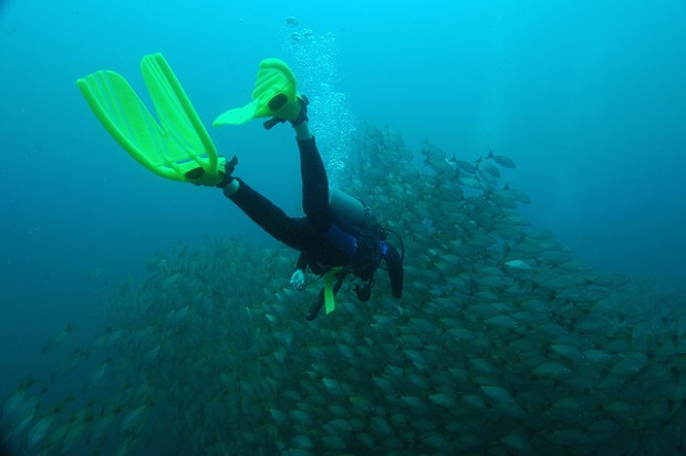 Scuba Diving Costa Rica